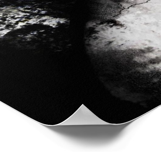 Poster Sleeper (Coin)
