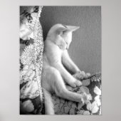 Poster Sleeping (Devant)