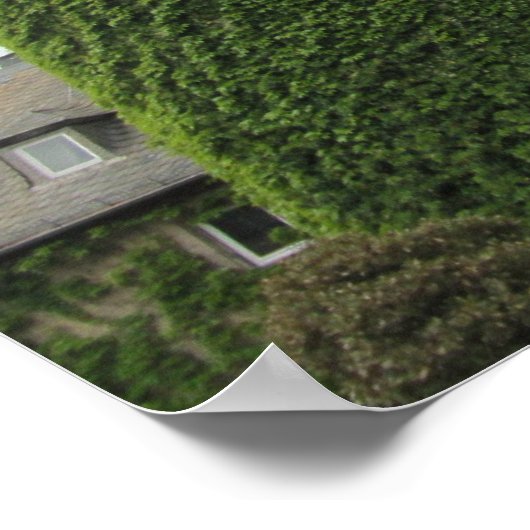 Poster Sleeping Beauty's Castle (Coin)