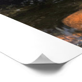 Poster sleeping Buddha on water (Coin)