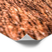 Poster Sleeping Sorrel Cheval Oeil et cils Photo Étude (Coin)