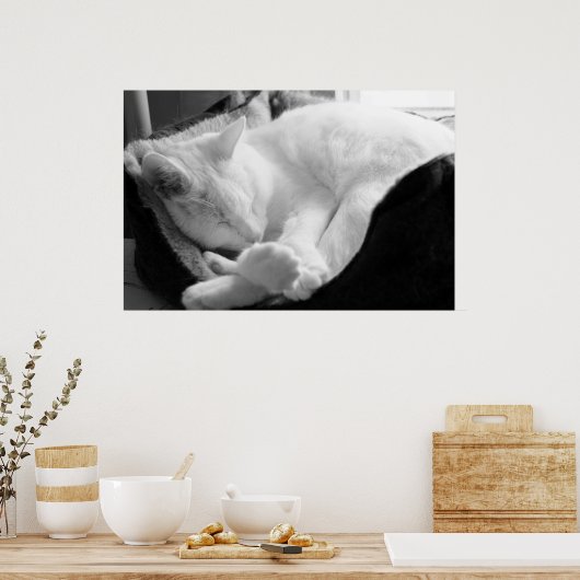 Poster Sleeping Squeak (Cuisine)