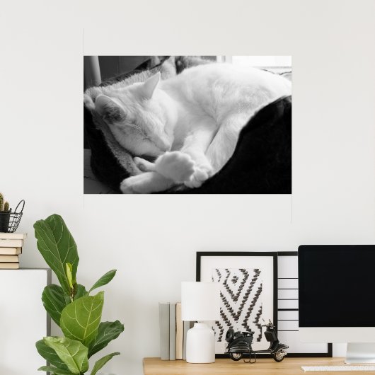 Poster Sleeping Squeak (Bureau à domicile)