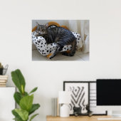 Poster Sleepy cat (Bureau à domicile)