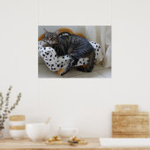 Poster Sleepy cat (Cuisine)
