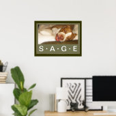 Poster Sleepy Girl (Bureau à domicile)