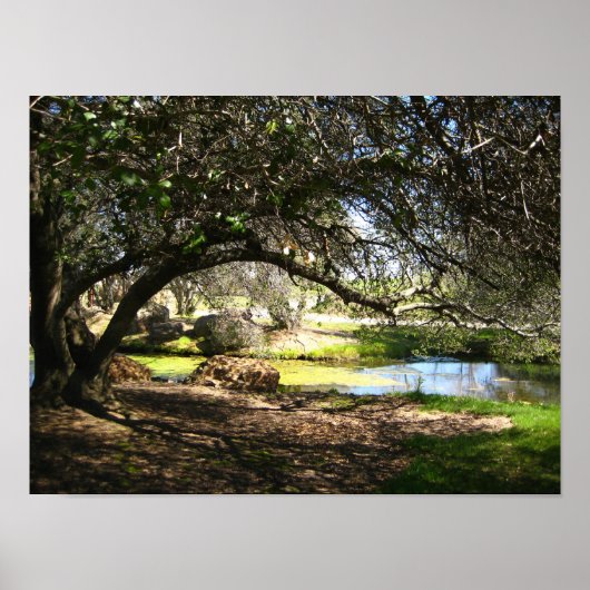 Poster "Sleepy Hollow (Devant)