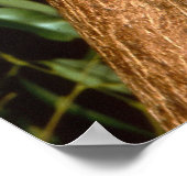 Poster Sleepy Koala (Coin)