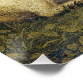 Poster Sleepy Unicorn Antique Mystical Renaissance Italy (Coin)