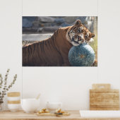 Poster Sleepy Zacharia (Cuisine)