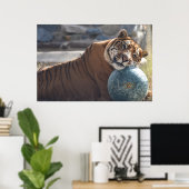 Poster Sleepy Zacharia (Bureau à domicile)