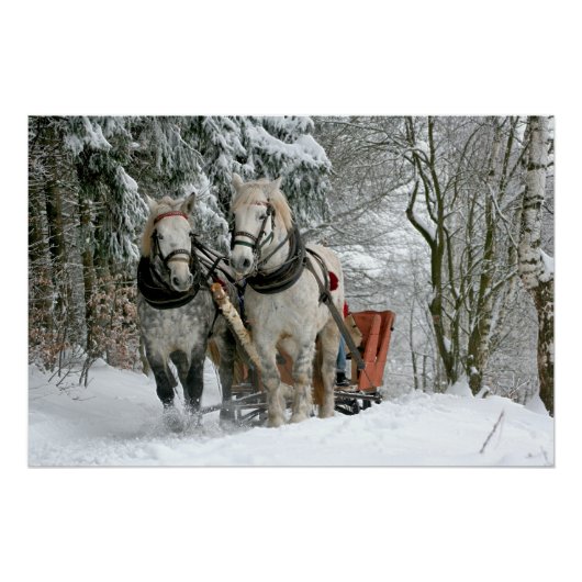 Poster Sleigh Ride in Winter Wonderland (Devant)