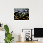 Poster Slider à oreilles rouges, Trachemys scripta elegan (Bureau à domicile)