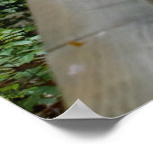 Poster Slightly Curved (Coin)