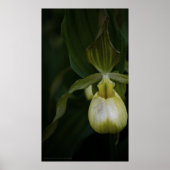 Poster Slipper 2 Jaune (Devant)