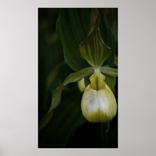 Poster Slipper 2 Jaune (Devant)