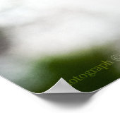 Poster Slipper de dame #8299 Imprimer (Coin)