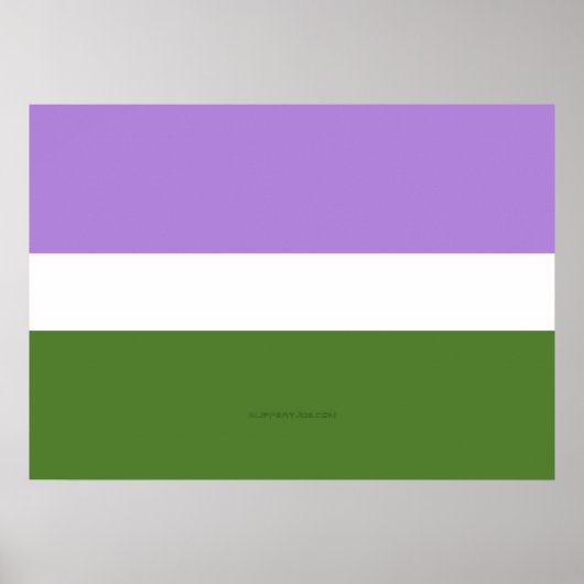 Poster SlipperyJoe's Genderqueer Pride Couleurs du drapea (Devant)