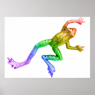 Poster SlipperyJoe's Pride Frog animal crawling rainbow 