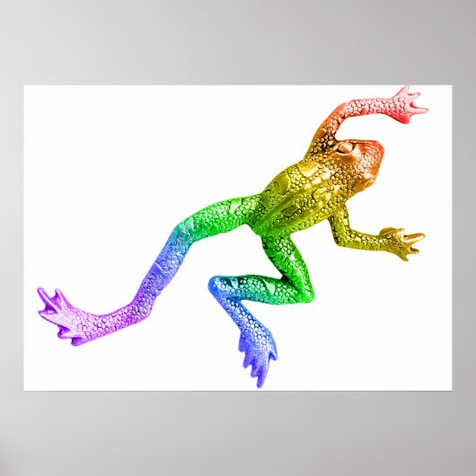Poster SlipperyJoe's Pride Frog animal crawling rainbow  (Devant)