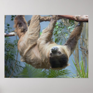 Poster Slotfoto