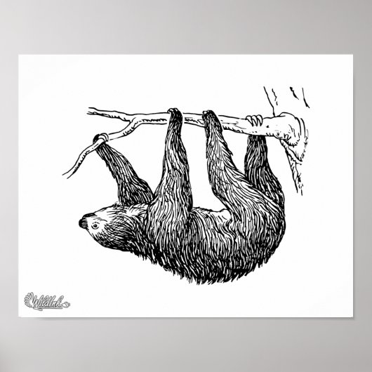 Poster Sloth (Devant)