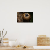 Poster Sloth à deux doigts du Sud (Cuisine)