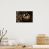 Poster Sloth à deux doigts du Sud (Cuisine)