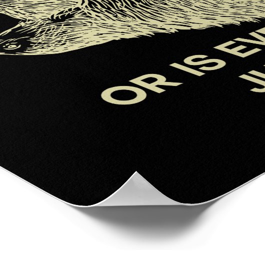 Poster Sloth Am I Slow? (Coin)