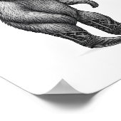 Poster Sloth Howdy Sloth (Coin)