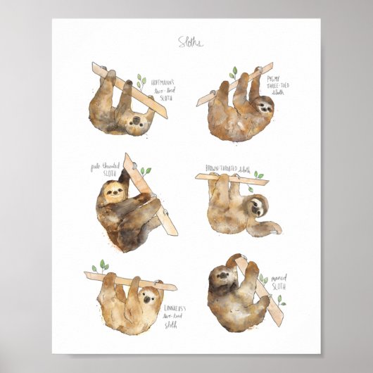 Poster Sloths Classic (Devant)