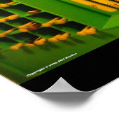Poster Sluggers Louisville (Coin)
