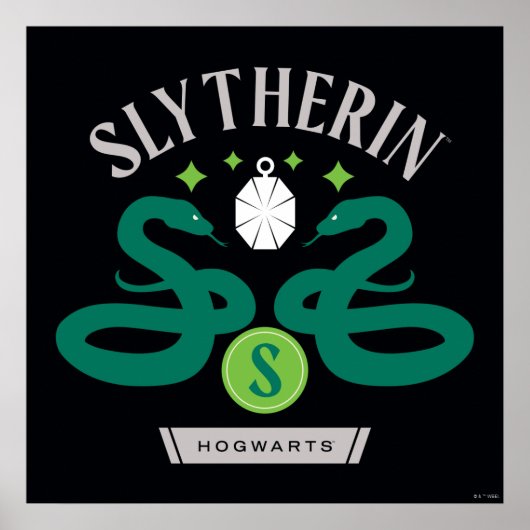 Poster SLYTHERIN™ House Double Snake Locket Graphique (Devant)