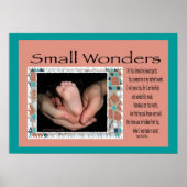 Poster Small Wonders (Devant)