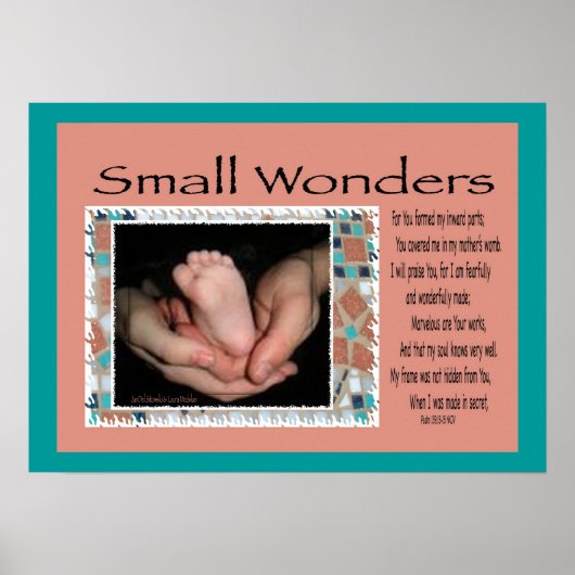 Poster Small Wonders (Devant)