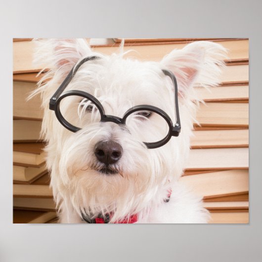 Poster Smart Doggie (Devant)