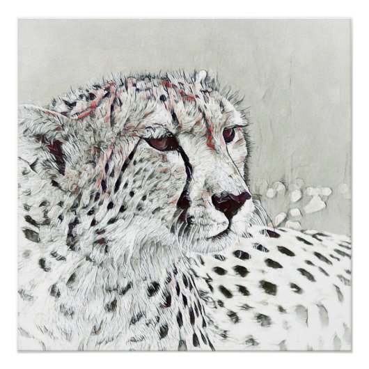 Poster smartmix animal - guépard (Devant)