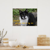 Poster Smiler says- Sometimes, you just have to try cute. (Cuisine)