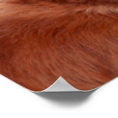 Poster Smiling Golden Retriever en Casquette (Coin)