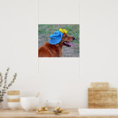 Poster Smiling Golden Retriever en Casquette (Cuisine)