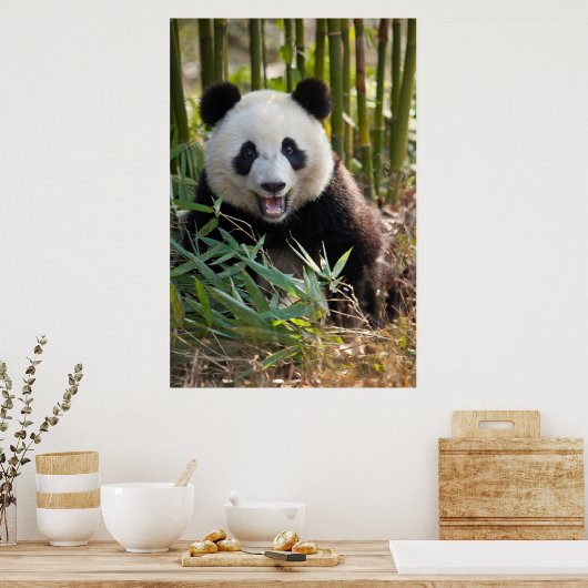 Poster Smiling Panda Portrait (Cuisine)