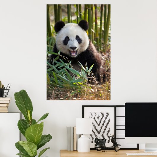 Poster Smiling Panda Portrait (Bureau à domicile)