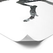 Poster Smilodon (Coin)