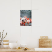 Poster Smithsonian | Flamants roses Dans La Neige (Cuisine)