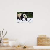 Poster Smithsonian | Pandas Géants Dans La Neige (Cuisine)
