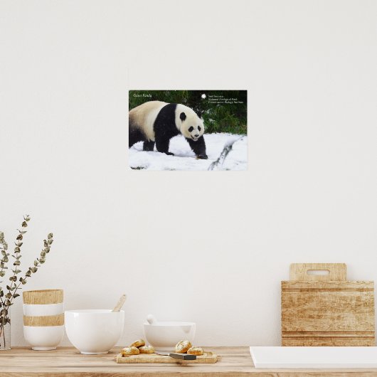 Poster Smithsonian | Pandas Géants Dans La Neige (Cuisine)