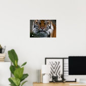 Poster Smithsonian | Sumatran Tiger Soyono (Bureau à domicile)