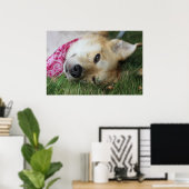 Poster Smoochie (Bureau à domicile)