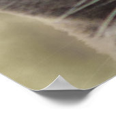 Poster Smug Kitty - Faites Ce Que Vous Voulez? (Coin)