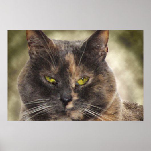 Poster Smug Kitty - Faites Ce Que Vous Voulez? (Devant)